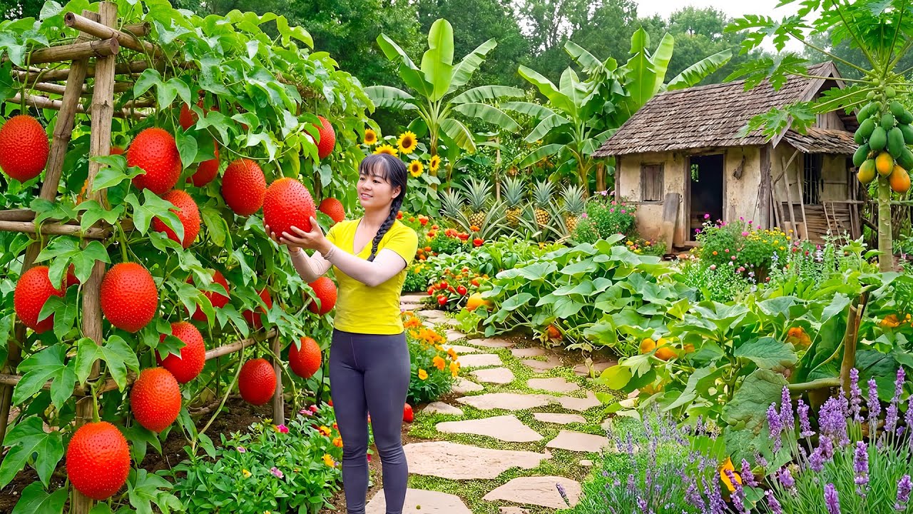 Harvesting Many Fresh Fruits on the Farm | Transported by Truck to Market
