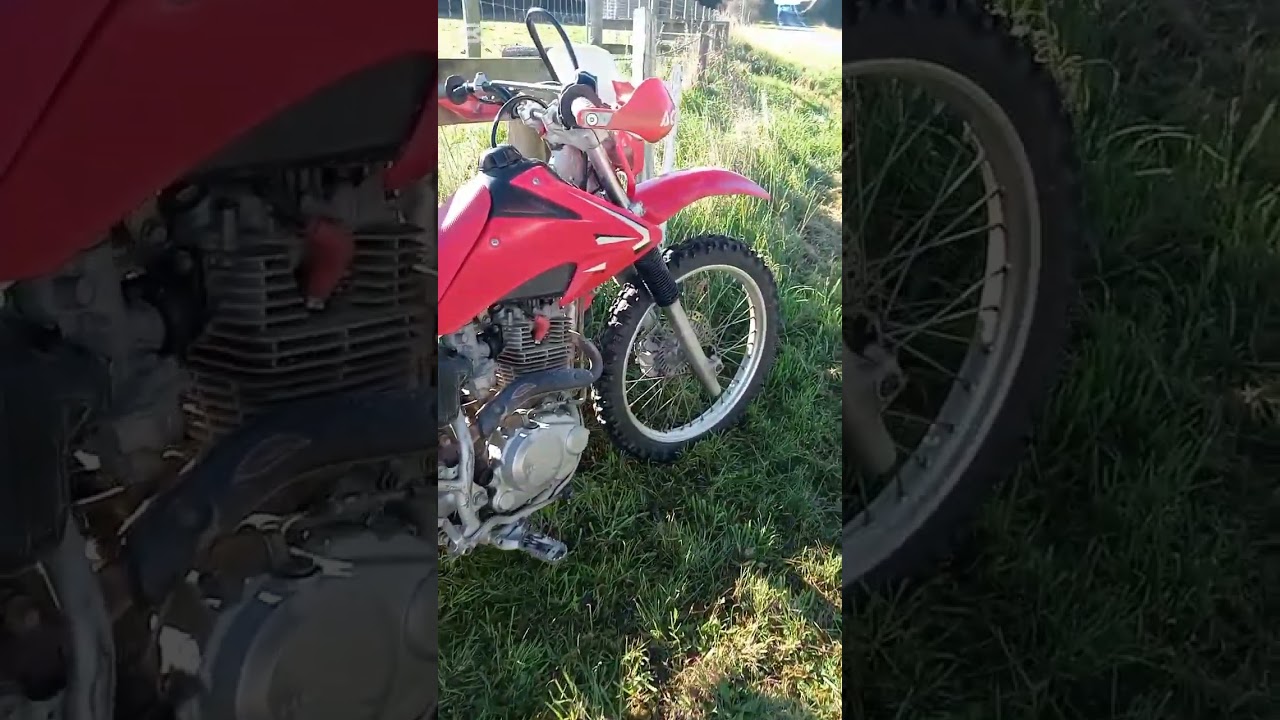 Honda crf 230f #dirtbike #rider #honda