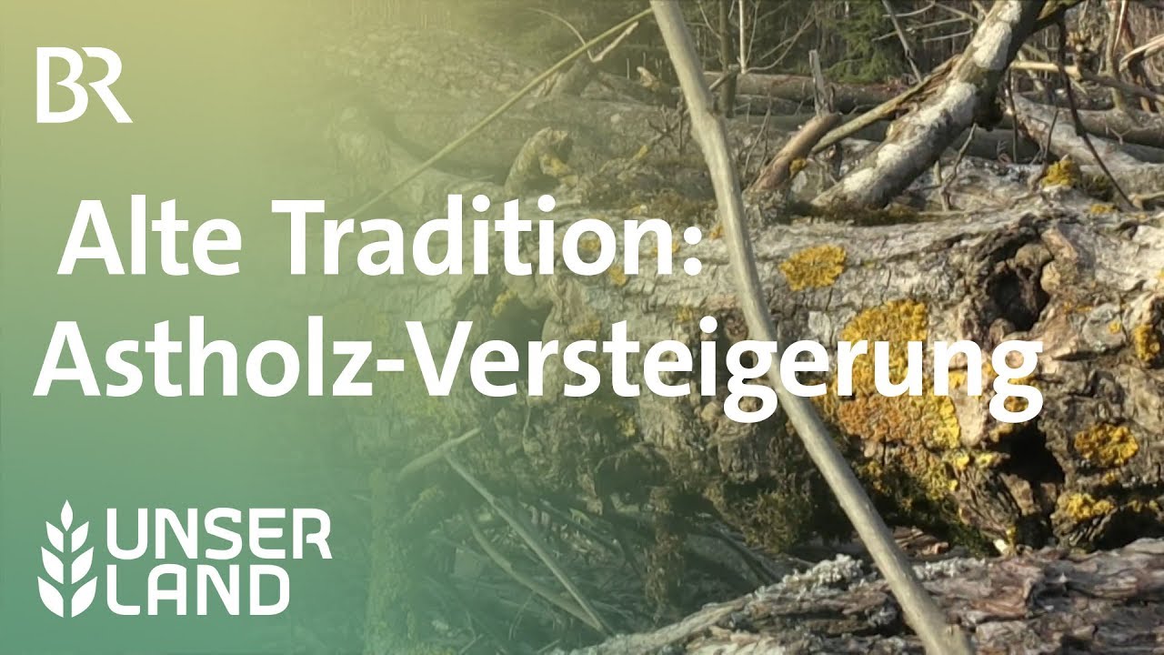 Alte Tradition: Versteigerung von Astholz | Unser Land | BR Fernsehen