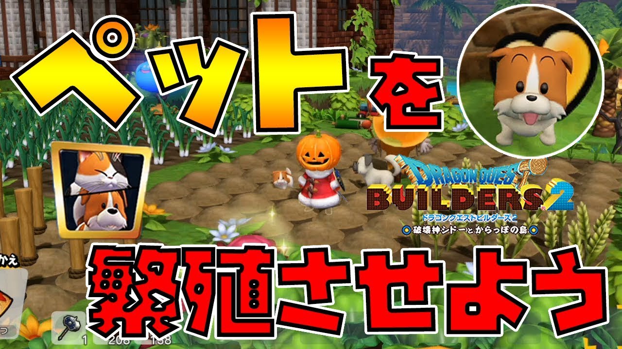 【ドラゴンクエストビルダーズ2】ペットの繁殖方法！かいたくレシピ攻略！【DQB2】