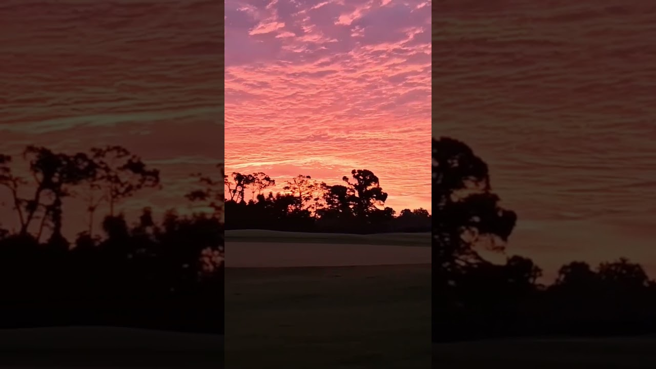 Golf course maintenance life🌞