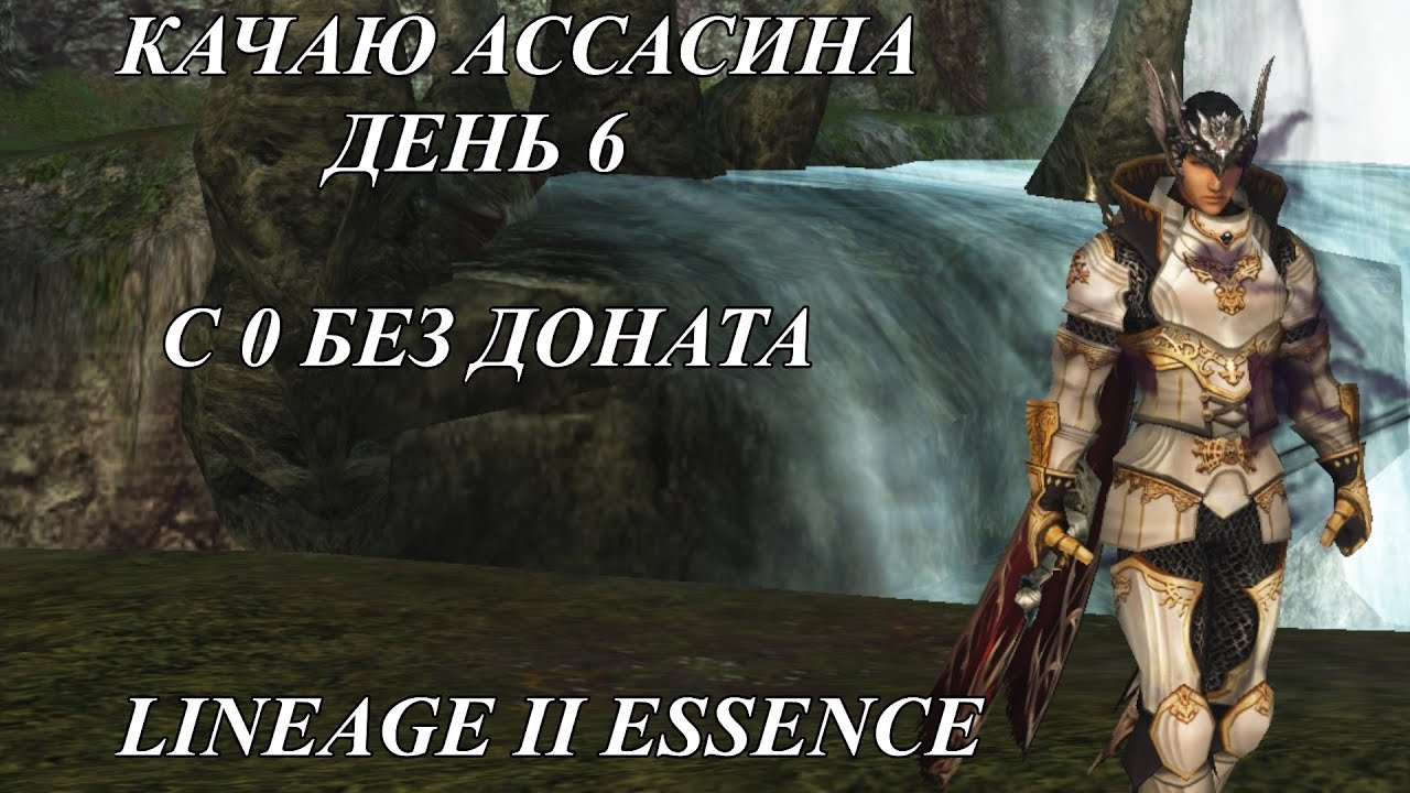 ИТОГИ ЗА 6 ДНЕЙ БЕЗ ДОНАТА ЗА АССАСИНА #l2  #lineage2 #l2e  #l2essence