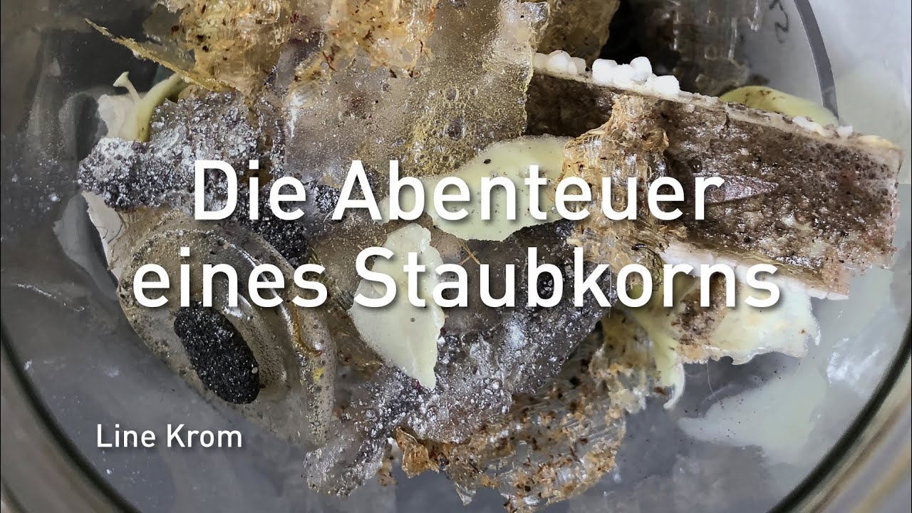 RÜCKBLICK! Die Abenteuer eines Staubkorns | Line Krom