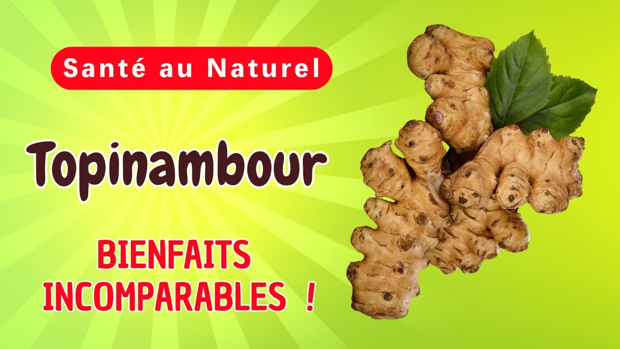 Comment le Topinambour Transforme-T-Il Votre Santé ? Les Bienfaits Cachés que Vous Devez Connaître !