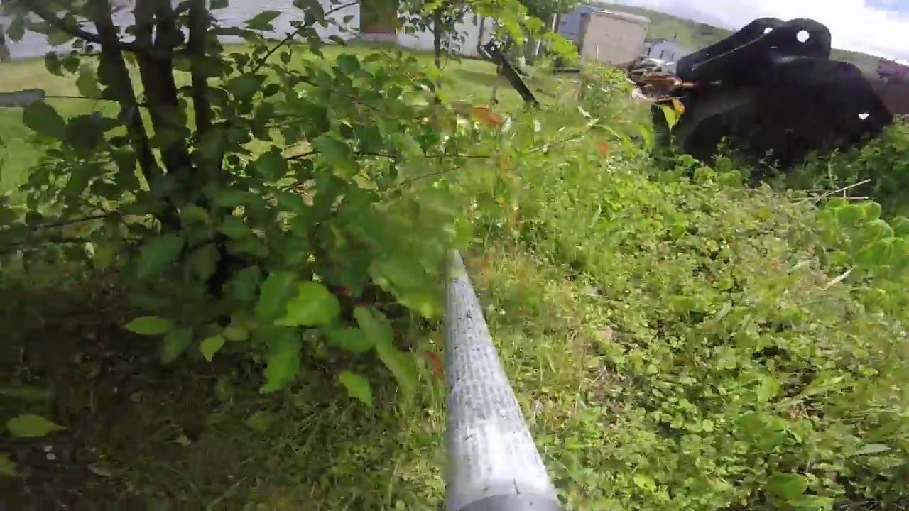 ECHO VS. Tall Wet Grass!  Echo 2620T !!
