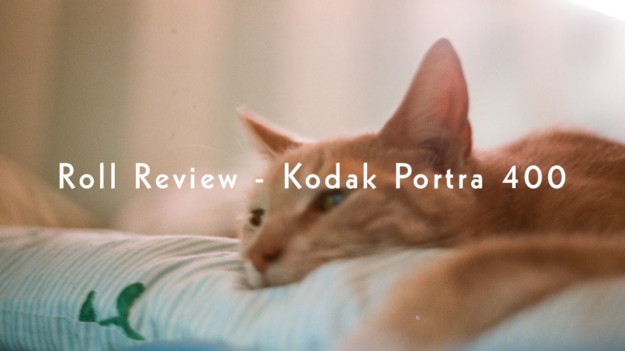 Kodak Portra 400 - Обзор Фотоплёнки