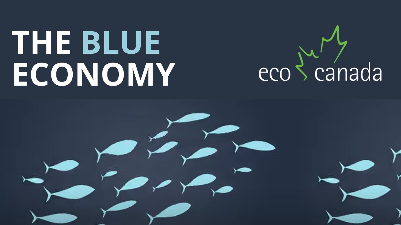 The Blue Economy - ECO Canada