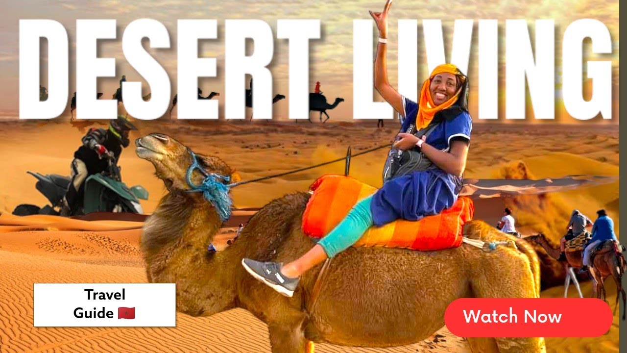 I Survived the Desert|Quad Bike and Camel Ride,Palmeraie Marrakech Vlog Day3 #vlog #marrakech #camel