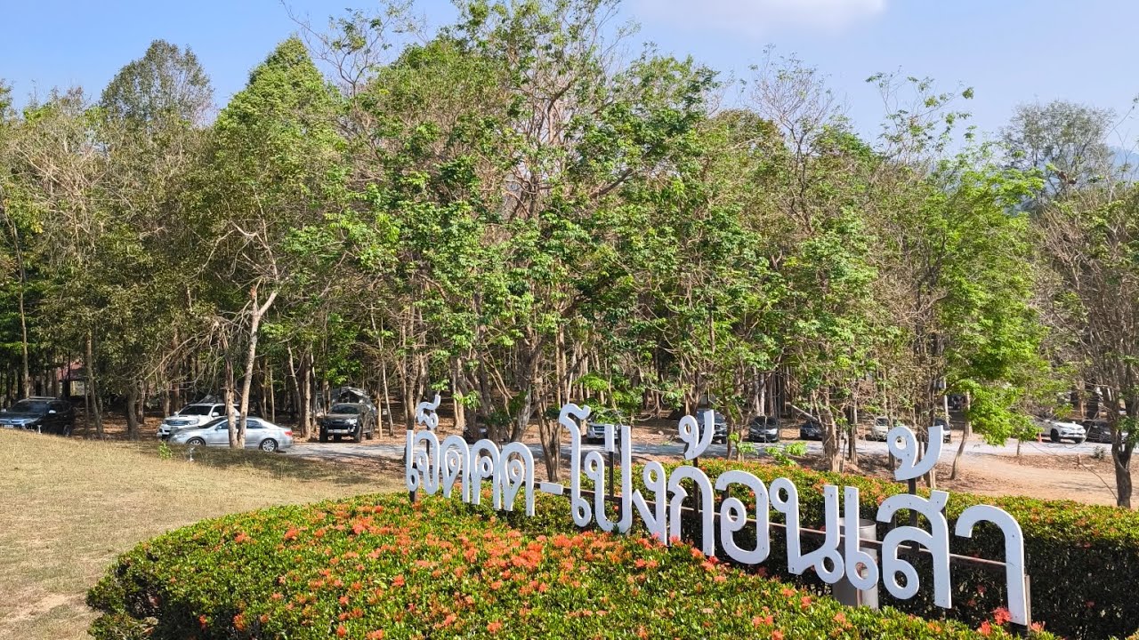 บังอาลี สุดยอด #Aree18 #mtbdh #mtb #mtblife 