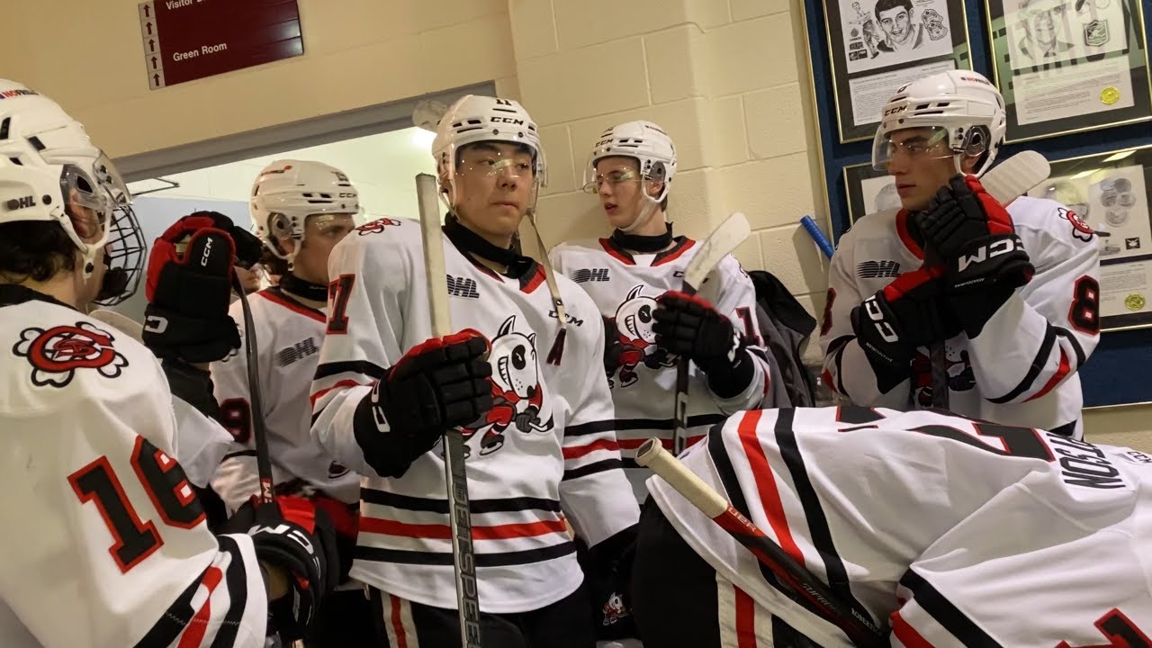Niagara IceDogs