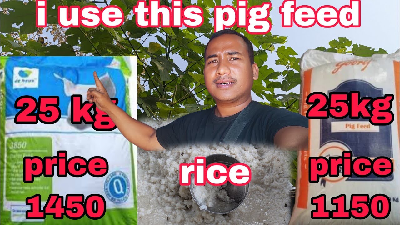 Pig feed || De Heus is good/best feed for pig || But the price is very high 25kg price 1450 
