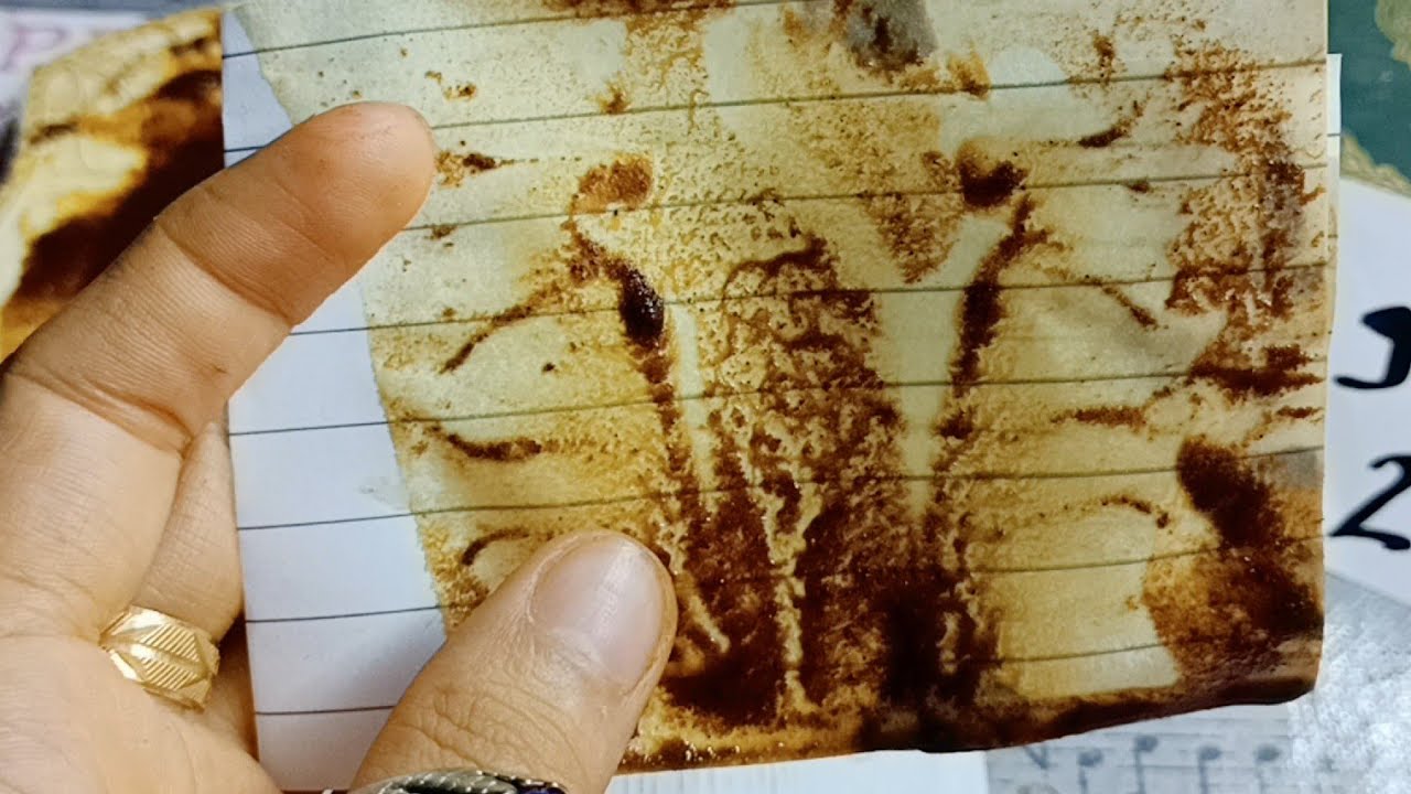 برج الثور (فال روحاني) ميكذبش ❌ ابدا 📿