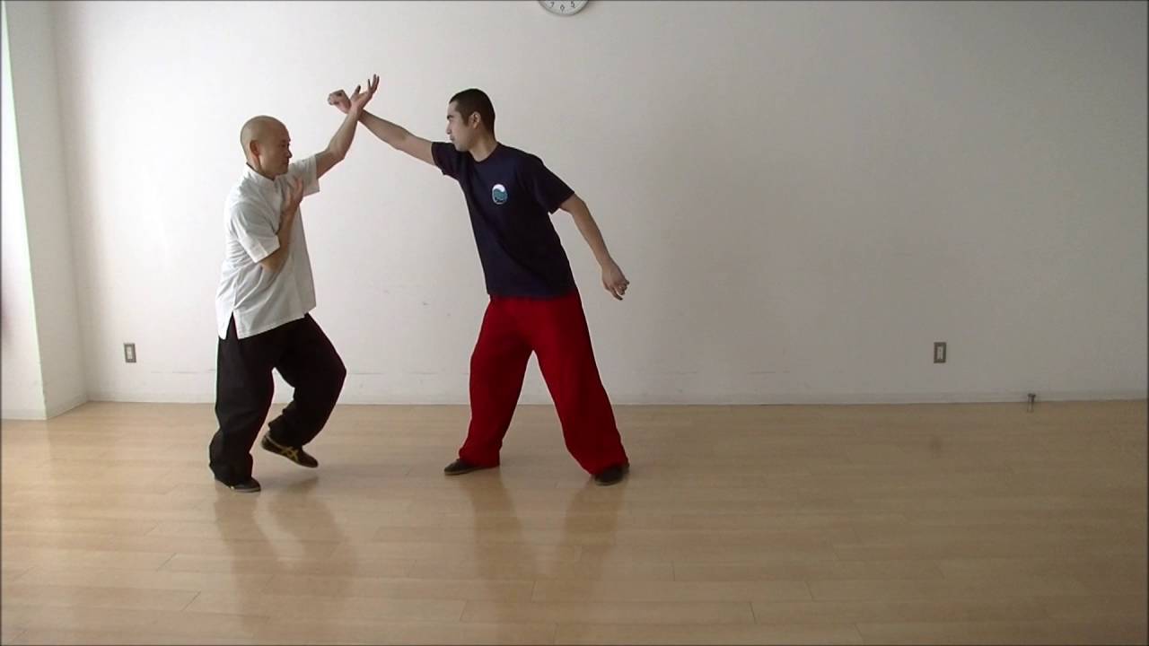 形意拳・十二形【鷹形】～Xingyiquan／Hawk form～by Ohryudo (旺龍堂)