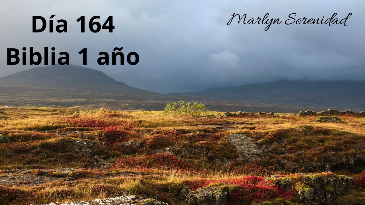 Día 164 Biblia 1 año