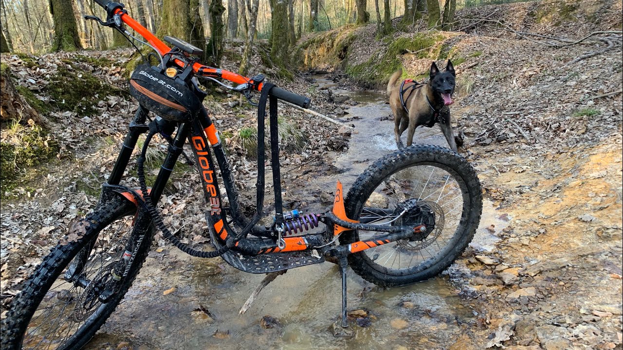 Cani-trottinette Malinois