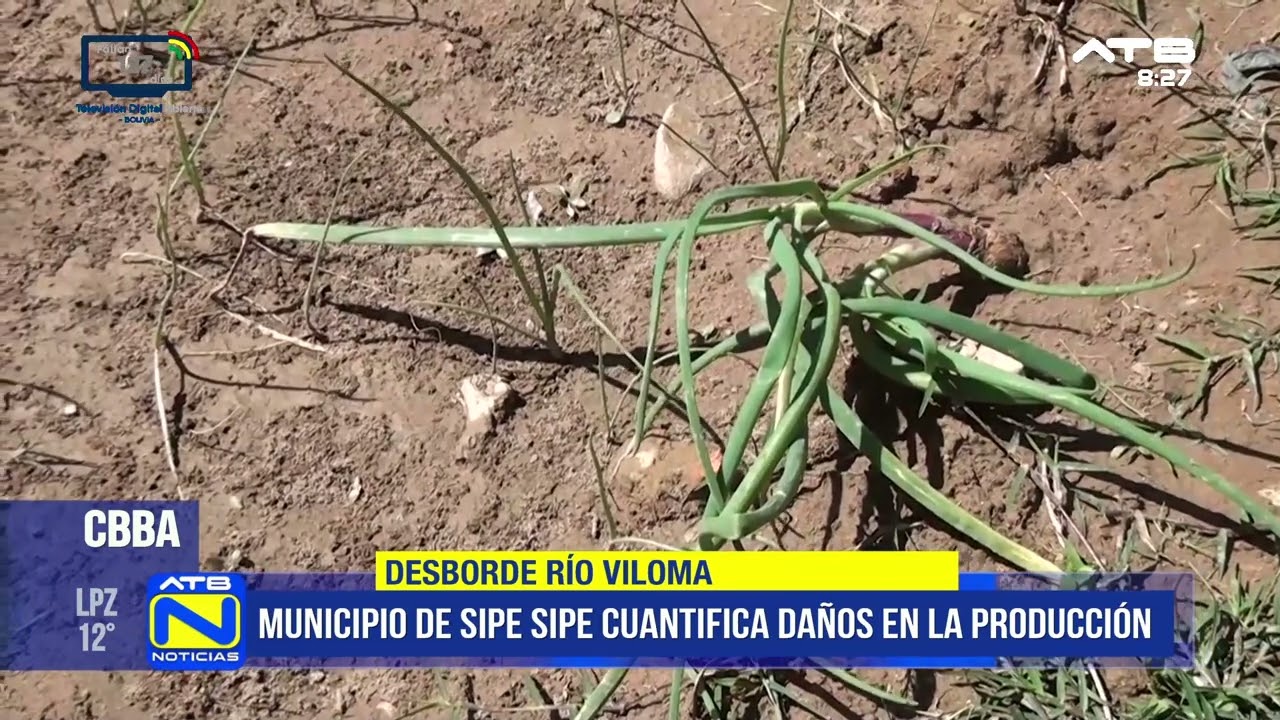 Desborde del río Viloma afecta cultivos en Sipe Sipe