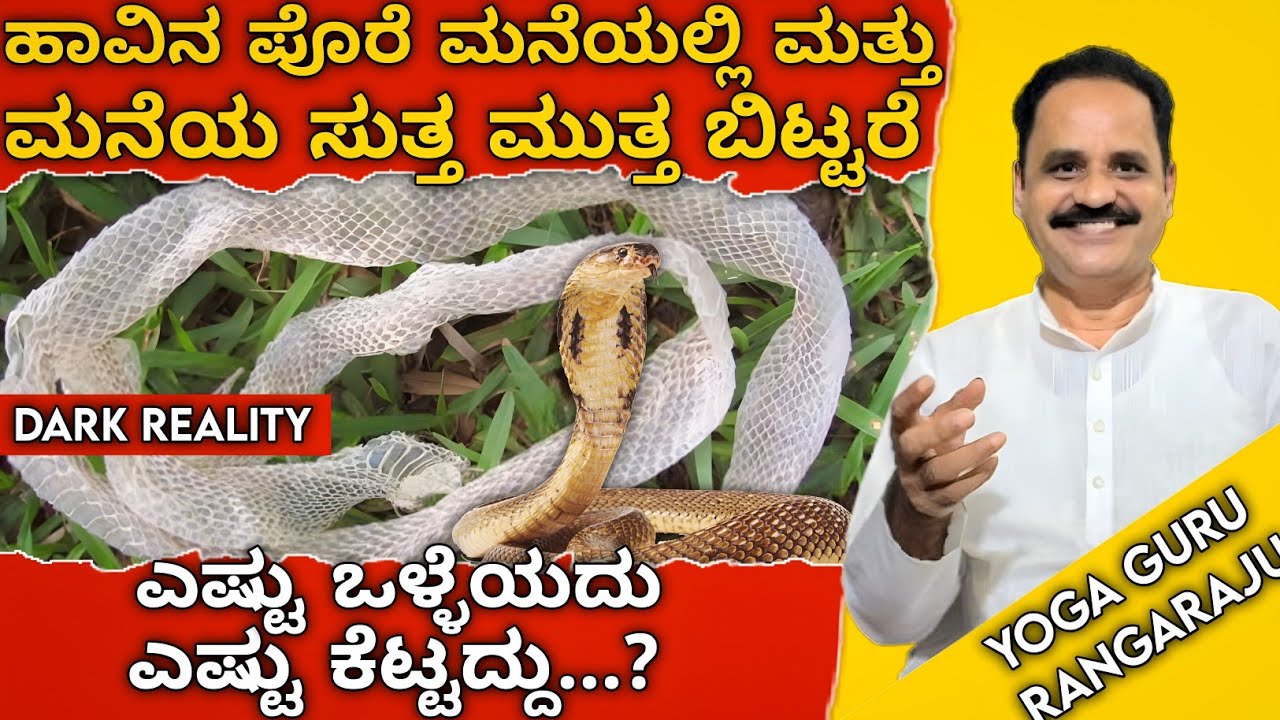 ಹಾವಿನ ಪೊರೆ ಮನೆಯಲ್ಲಿಮತ್ತು ಮನೆಯ ಸುತ್ತ ಮುತ್ತ ಬಿಟ್ಟರೆ ಎಷ್ಟು ಒಳ್ಳೆಯದು ಎಷ್ಟು ಕೆಟ್ಟದ್ದು? SNAKE SKIN!!