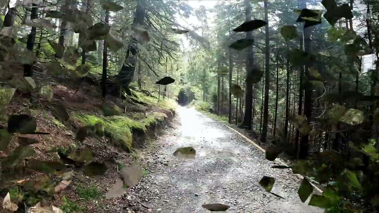 Dolina Sushej Wody, Zakopane