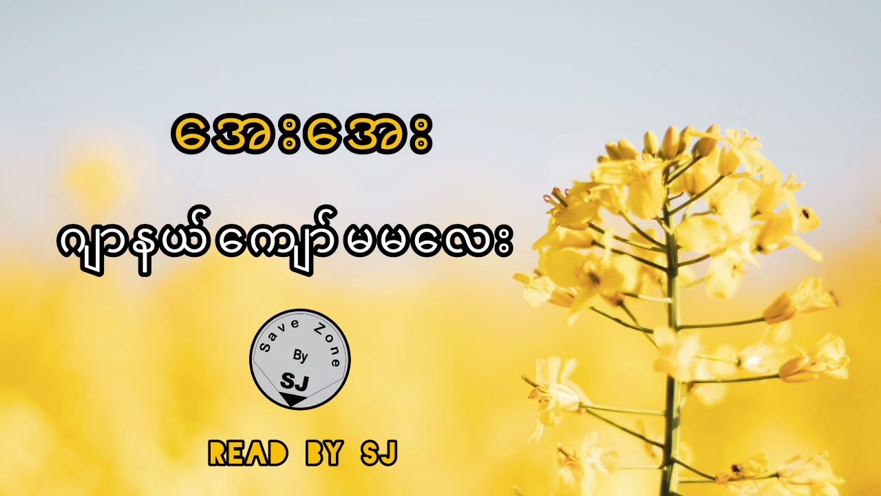 ဂျာနယ်ကျော်မမလေး - အေးအေး