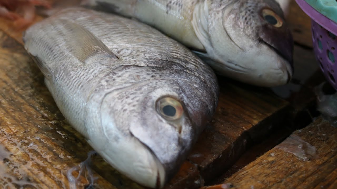 How to Clean white Seabream - Amazing Cleaning and Skinning Fish Skills
