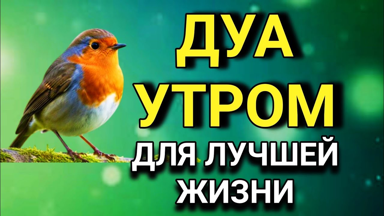 🌹🔑 ДУА, КОТОРОЕ МЕНЯЕТ ВСЮ Твою ЖИЗНЬ!  💫🤲💯