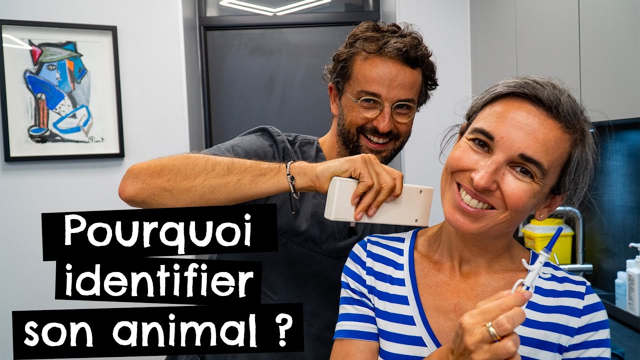 Pourquoi identifier son animal ?