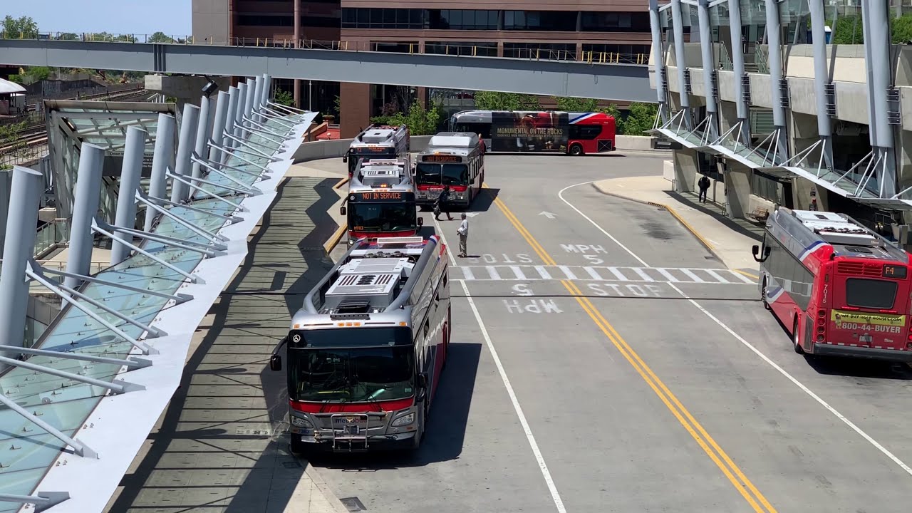 WMATA Metro & MCDOT Gillig Bus: A 2-Hour Showcase of Buses and Trains (Public Transportation)