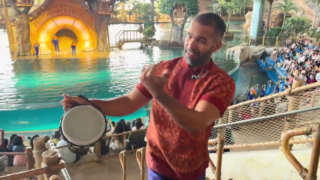 Dolphins ka magic ✨ #seaworld dolphin show | #yasisland ka best family experience! #vlog #travel