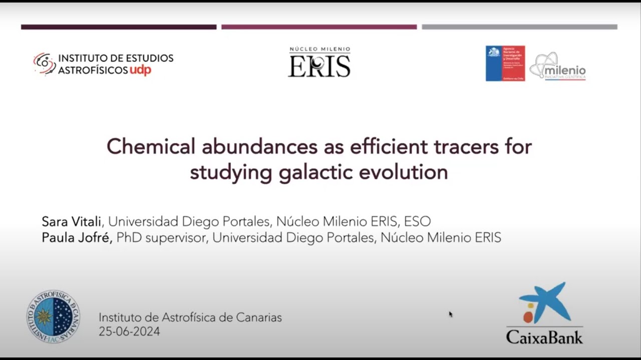 Chemical abundances as efficient tracers for studying galactic evolution