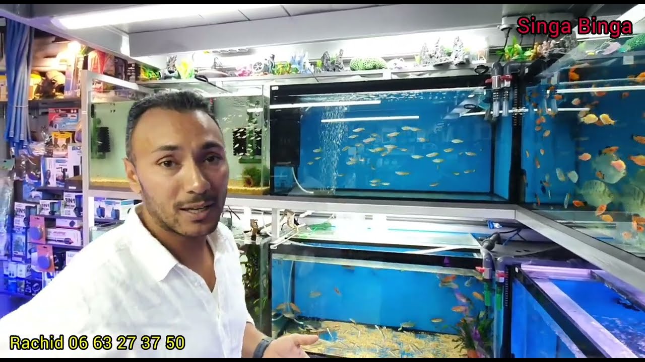 سوق القريعة بالدار البيضاء 🇲🇦🇲🇦 مع المولوع وأستاذ رشيد وأحسن أنواع أسماك الزينة souk kiraa casa 💣💥🐟