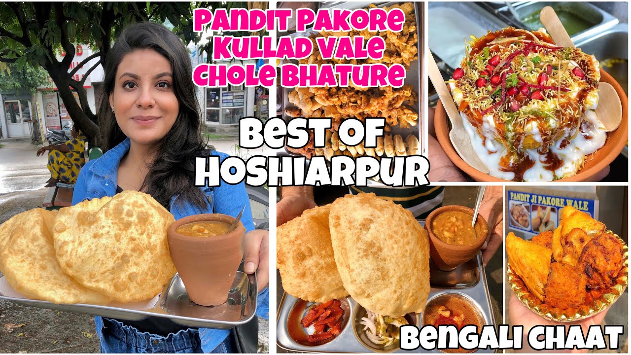 Best Street Food of Hoshiarpur | Pandit Pakore | Bhatura King | Bengali Chaat | Tanya Dhamija