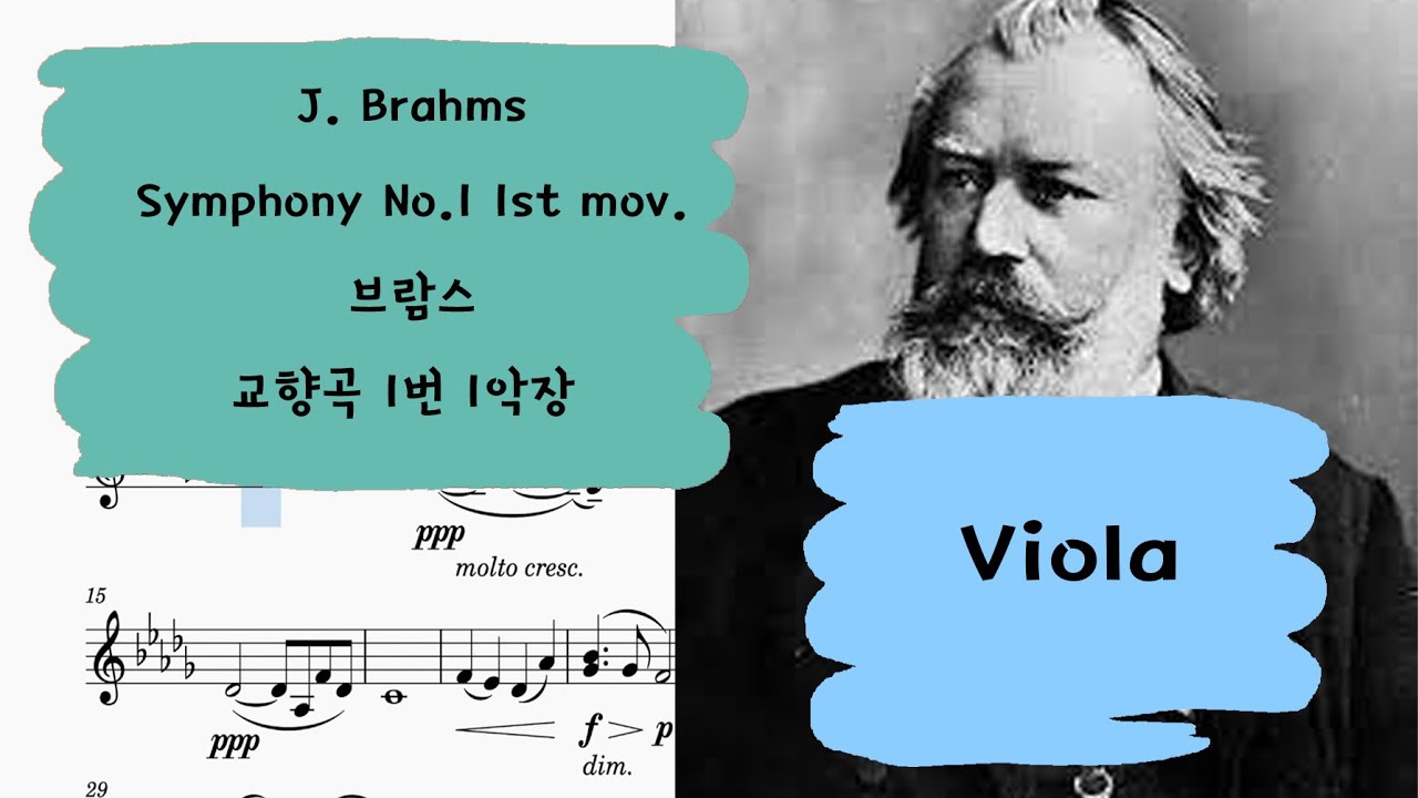 🎼 브람스 교향곡 1번 1악장 비올라 크게 듣기 |  J. BrahmsSymphony No.1 1st mov Viola part