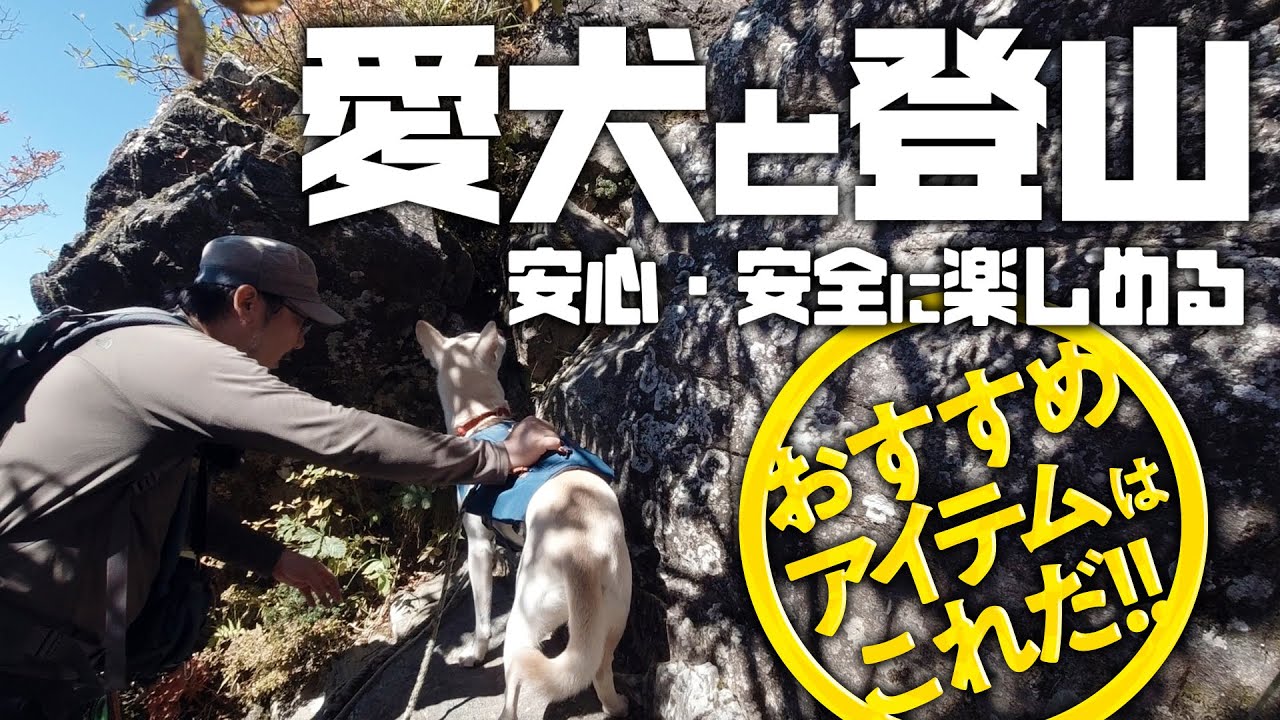 初めての愛犬と登山に必要なものは？おすすめギアをご紹介します。