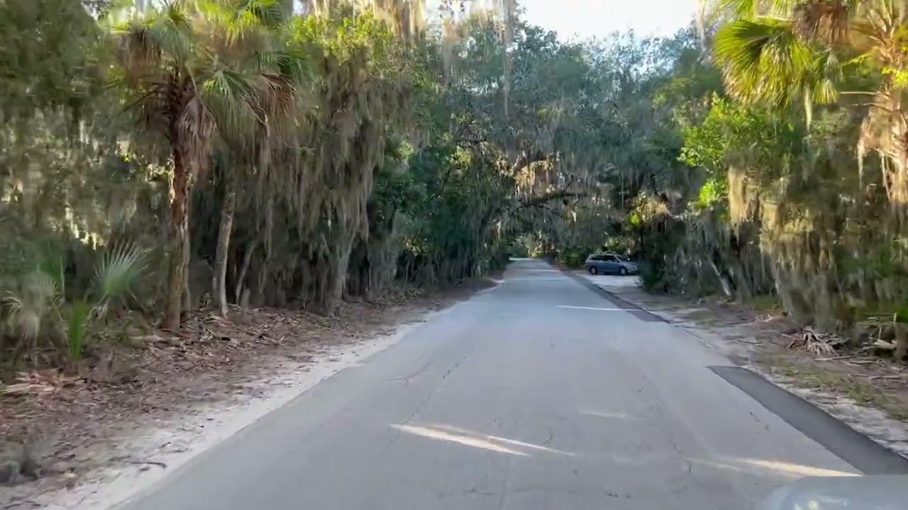 Fort Clinch Tree Canopy Drive