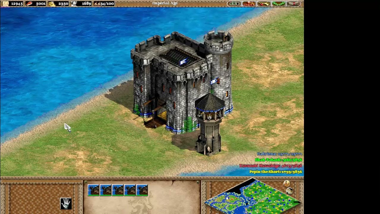 Age of Empires II 012