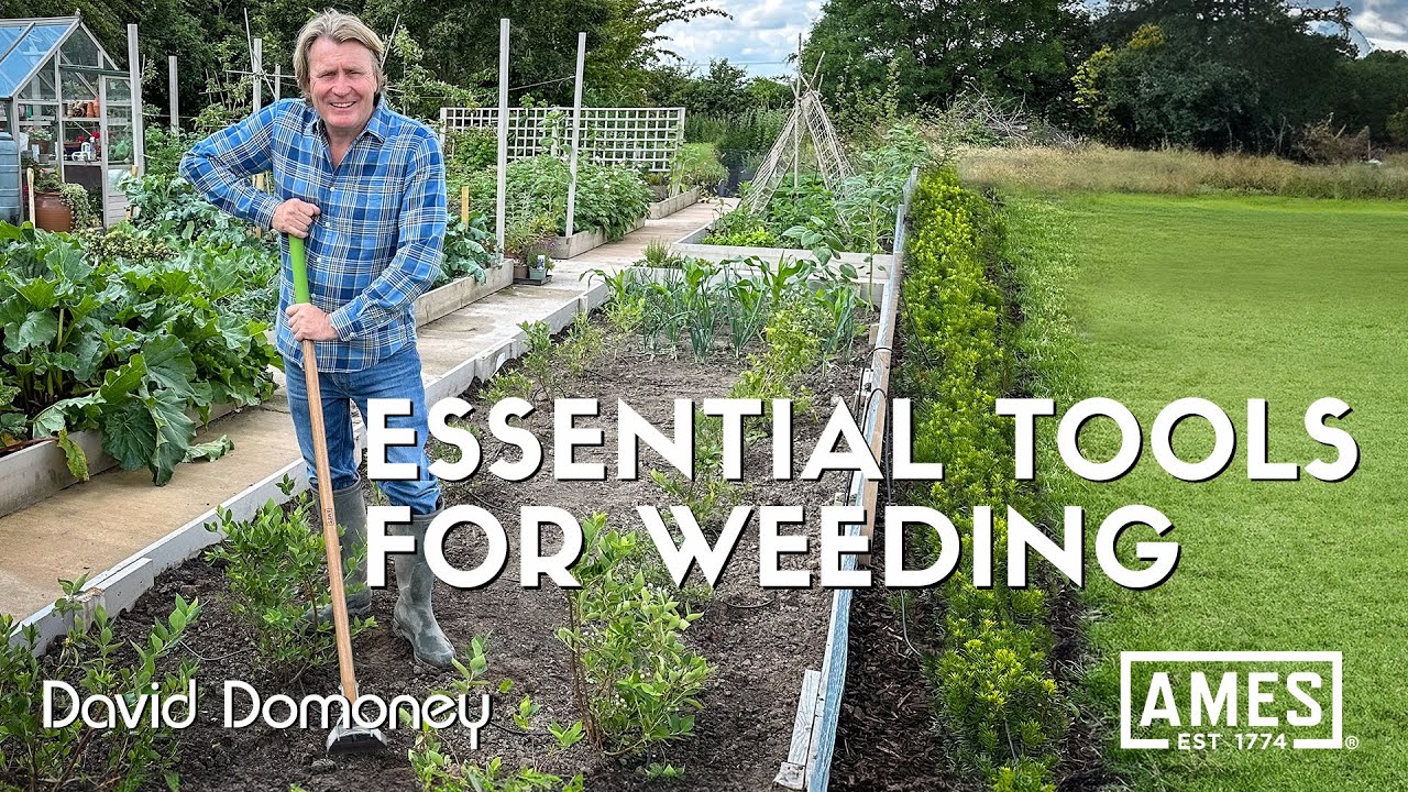 Weeding Tools: The Ultimate Guide to Keeping Your Garden Pristine