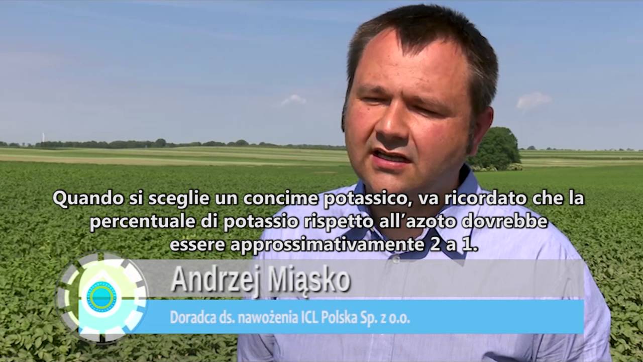 Aumentare la resa/ettaro: Agroleaf Power su patate [miglior raccolto miglior guadagno] (sub ita)