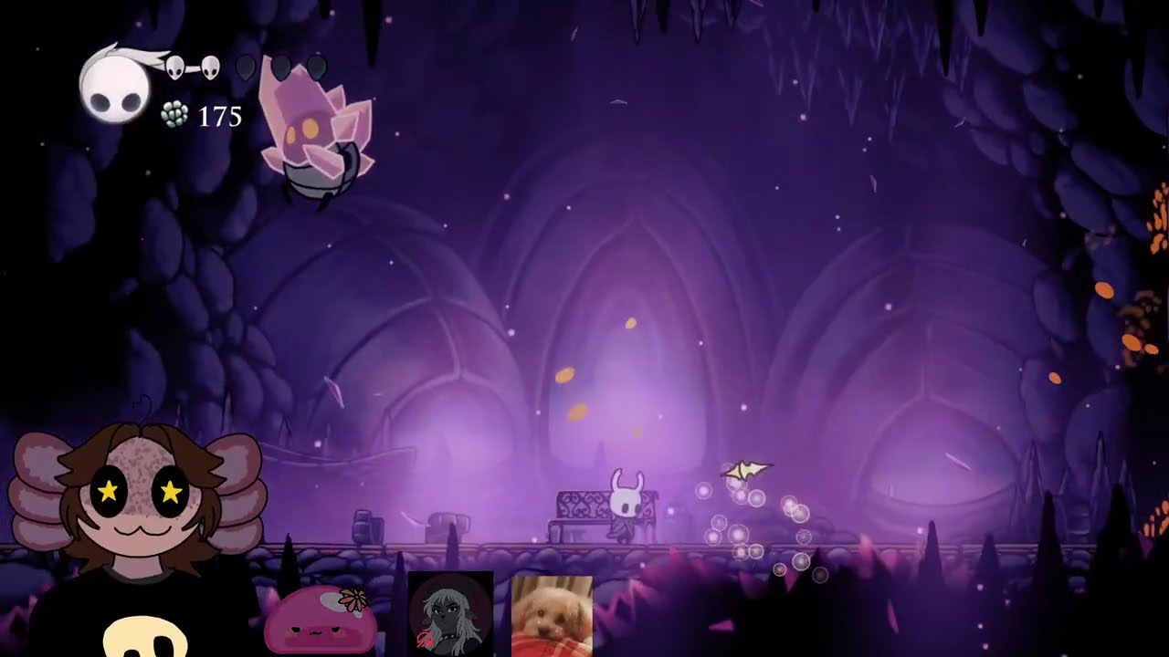 Hollow Knight