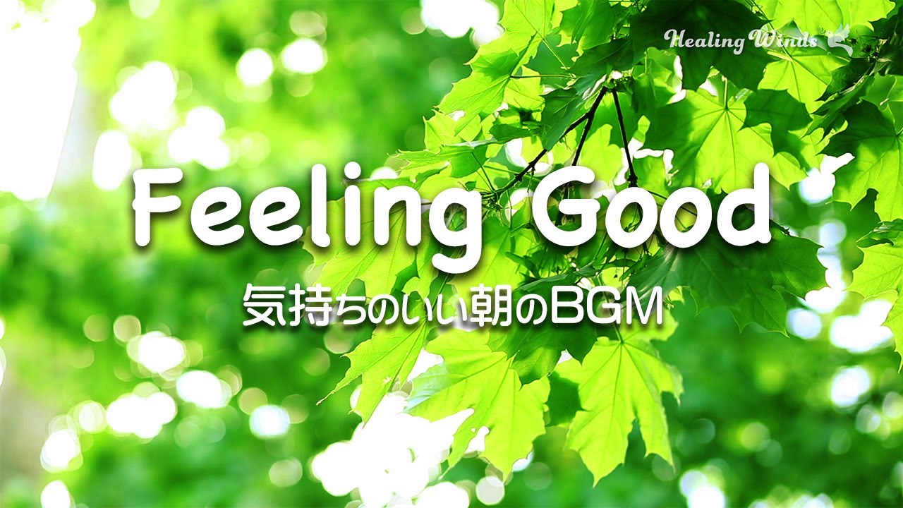 【朝の音楽】さわやかアコースティックBGMで癒される日曜日🌿 月曜の憂鬱を和らげる18の方法
