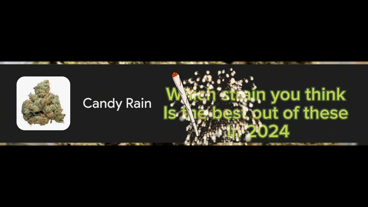 Which strain in 2024 is better #marijuananews #marijuanareviews #weed #marijuanamovement #strains