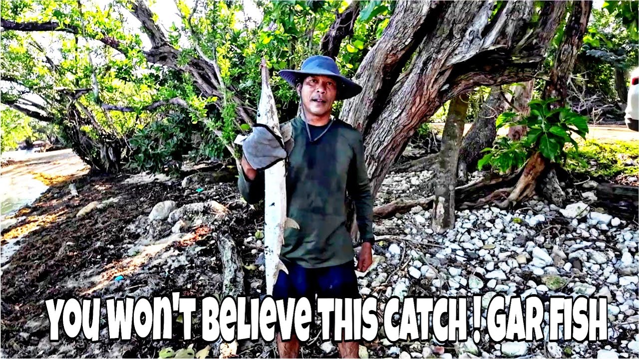 You Won’t Believe This Catch! Gar Fish (Long Jaws) Fast action in Jamaica