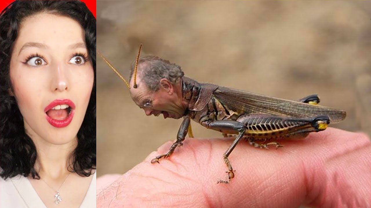 HAYATINIZDA İLK KEZ GÖRECEĞİNİZ ŞEYLER ! (inanılmaz)