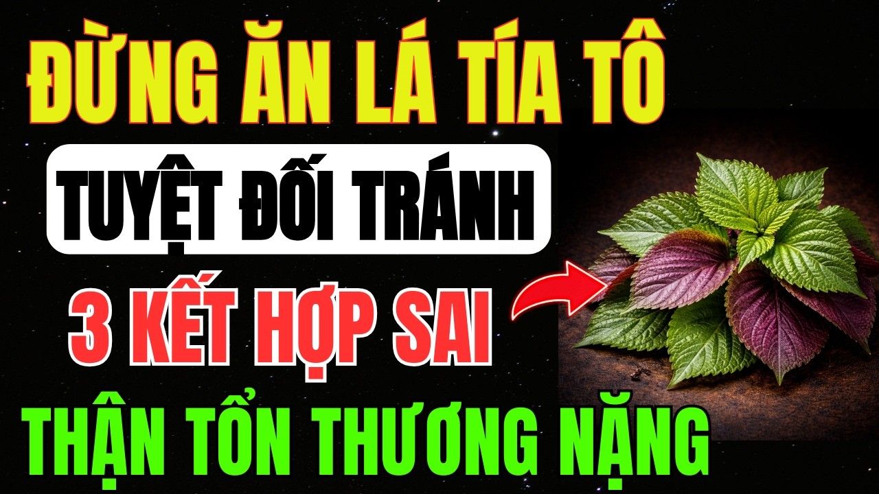 LÁ TÍA TÔ Khi ĂN KÈM Với 3 MÓN NÀY Cực Kỳ ĐỘC HẠI, PHÁ HỦY THẬN Chỉ Sau 1 Ngày - Cảnh Báo CẤP CỨU