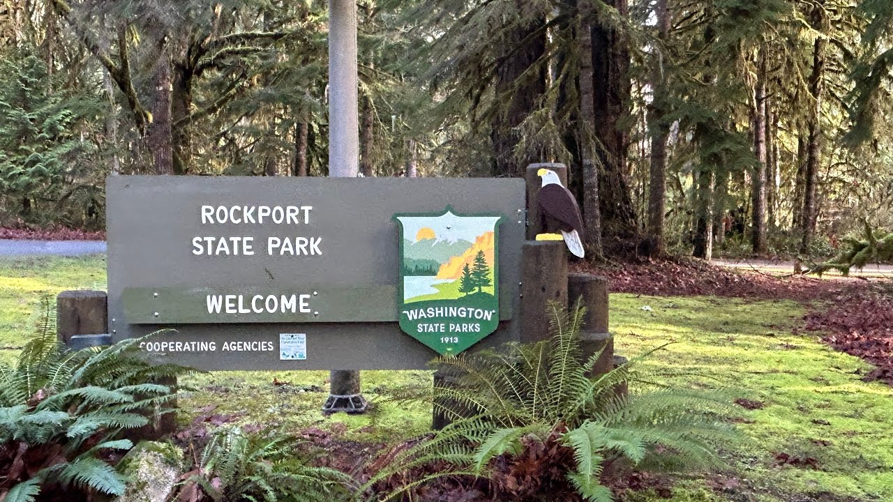 Hike Rockport State Park, Washington || 3 mile loop, Old Growth Forest