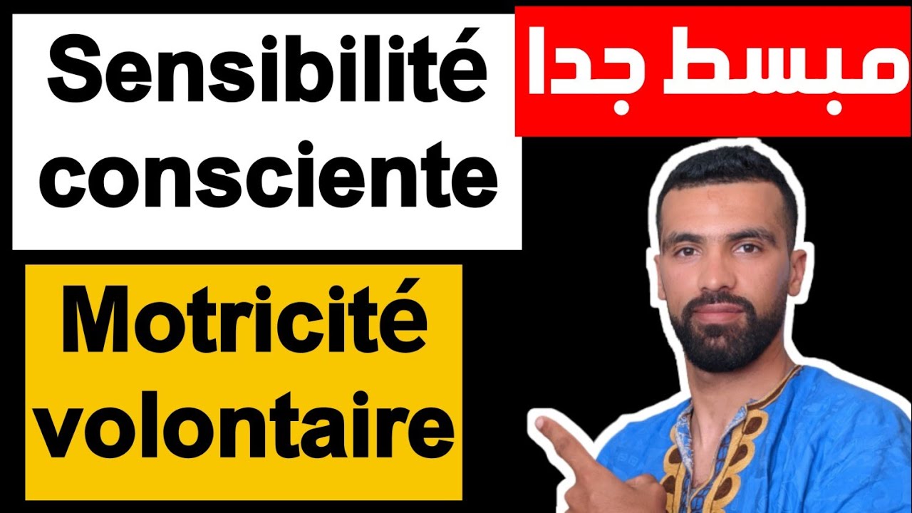 SVT 3AC 🔥 le système nerveux 🔺 la sensibilité consciente et la motricité volontaire