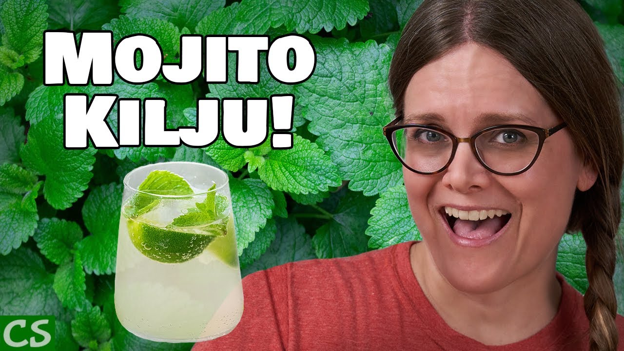 Przepis Kilju - Wino Cukrowe - Robienie Mojito Kilju