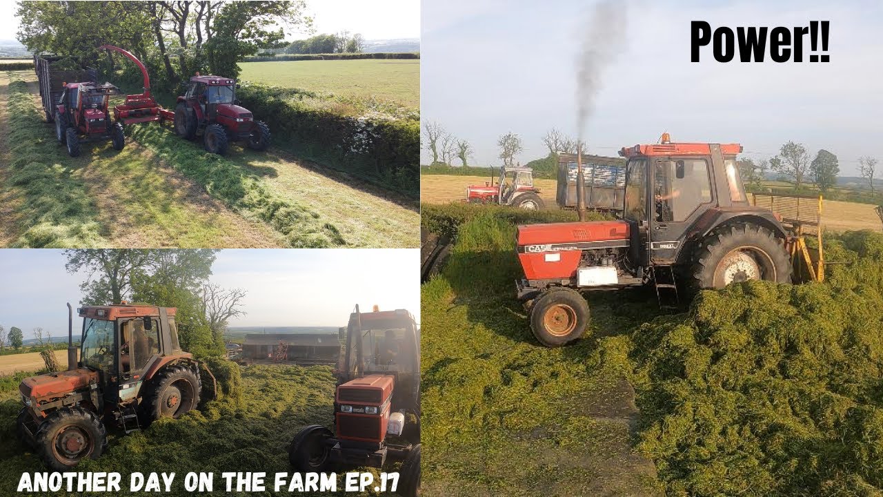No Smoke! No Poke! Old school silage 2k23!! Another day on the farm Ep.17