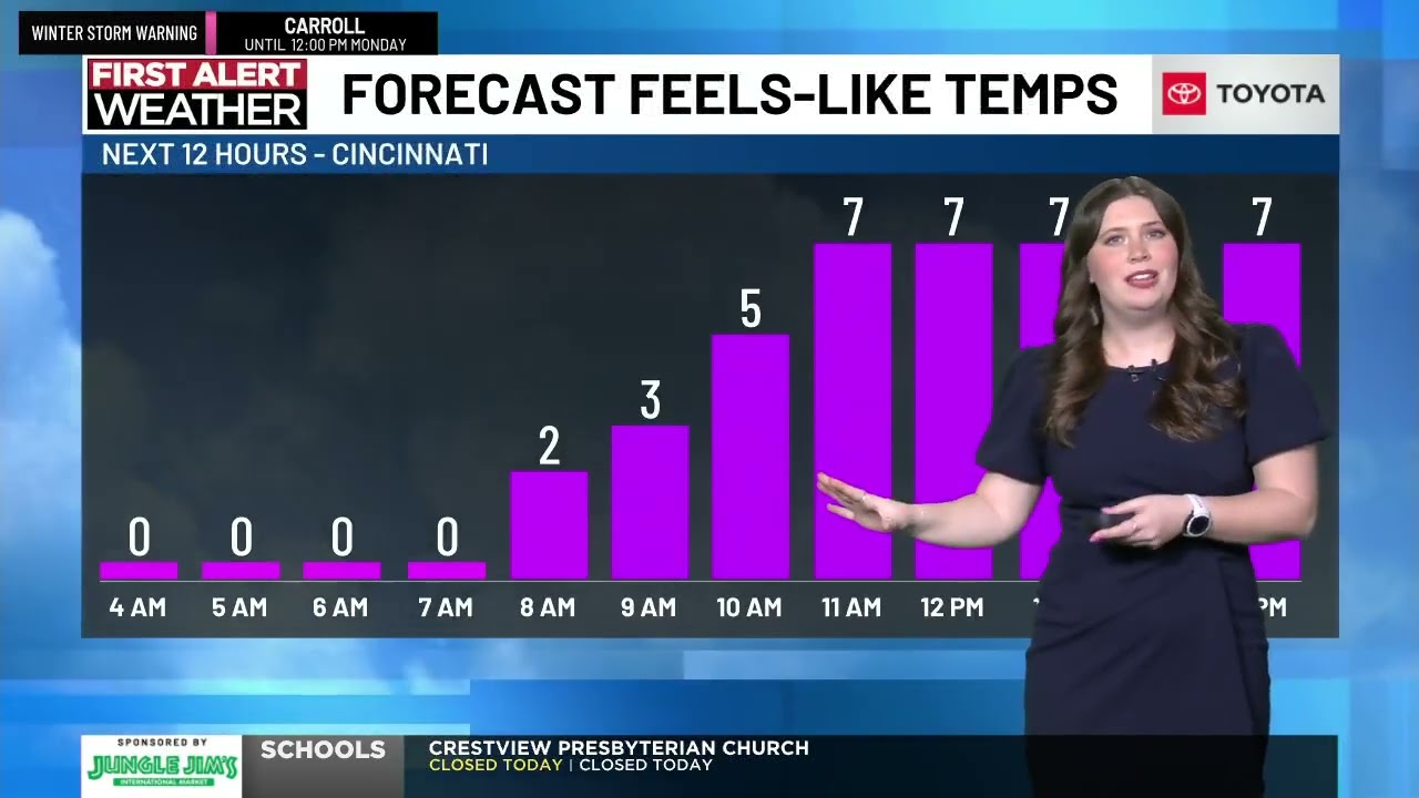 Anna DuVall -- FOX19 Winter snow storm coverage 1am