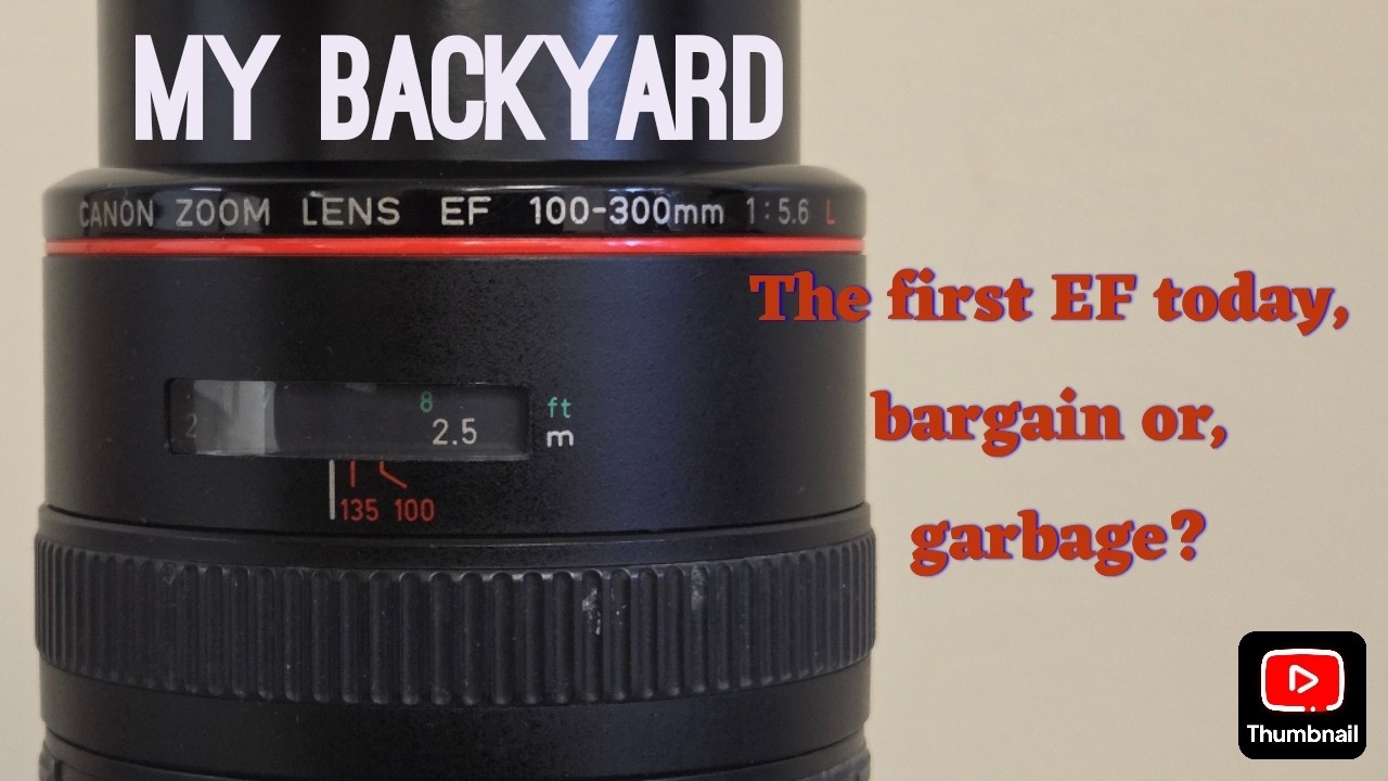 100 to 300mm 5.6 EF (The FIRST EF L Series lens) using it in 2026