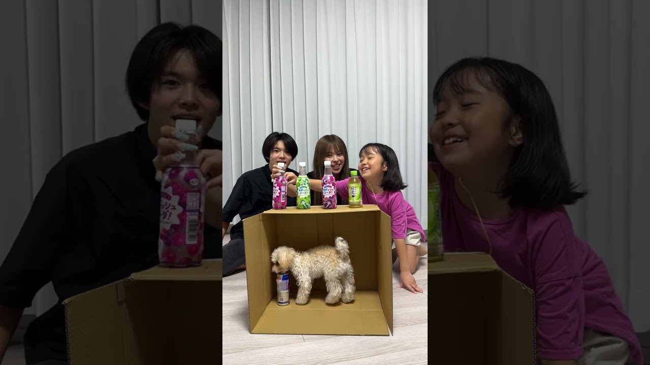 正しい位置を当てたらおこづかいUP!!勘が計算か！？　#はるくんの部屋  #shorts